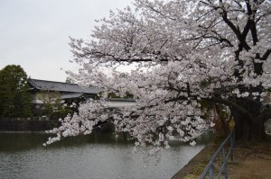 ２阿部